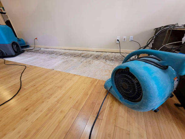 Professional Flood Damage Cleanup technician working in Hicksville, NY